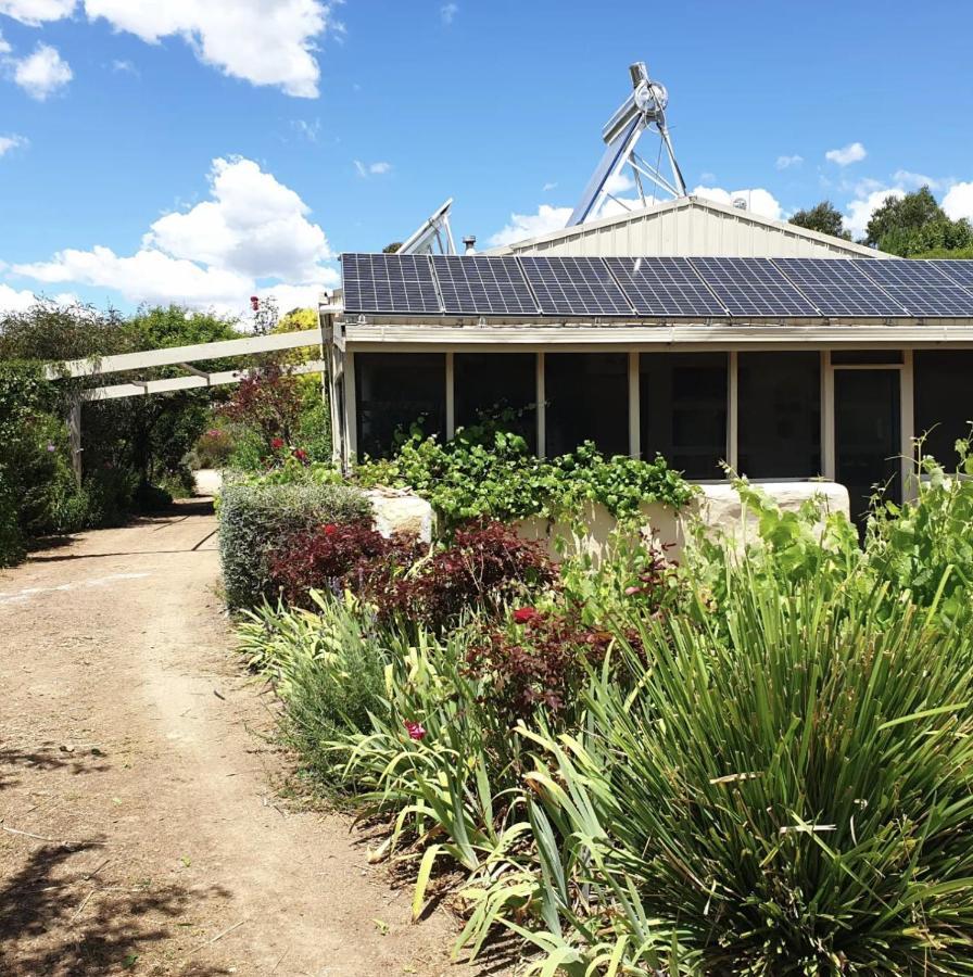 Strawbale Cottage - Wingspread Garden Strath Creek Ngoại thất bức ảnh